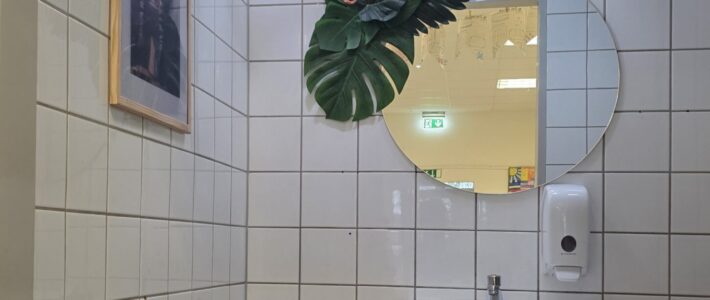 Umgestaltung der Schülertoiletten im 2. Stock